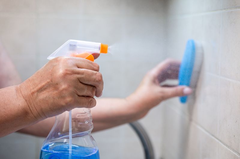Tile Grout Cleaning detail